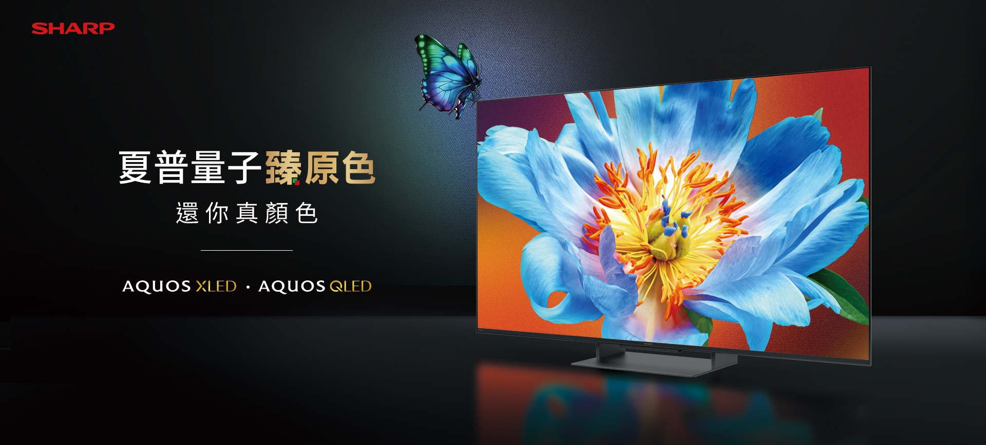 AQUOS 4K TV系列，帶你看見真實的美- SHARP 夏普
